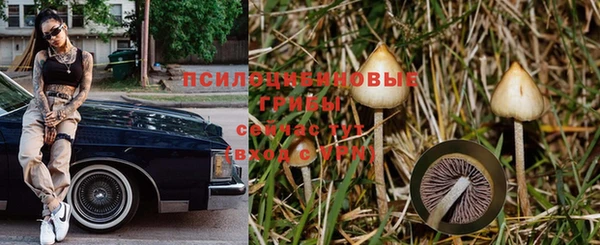 гашик Магадан